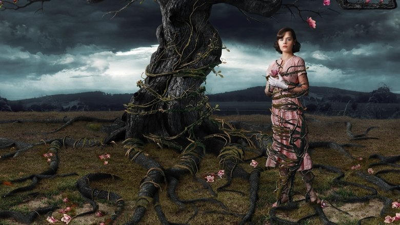 Web of Dreams電影劇照1