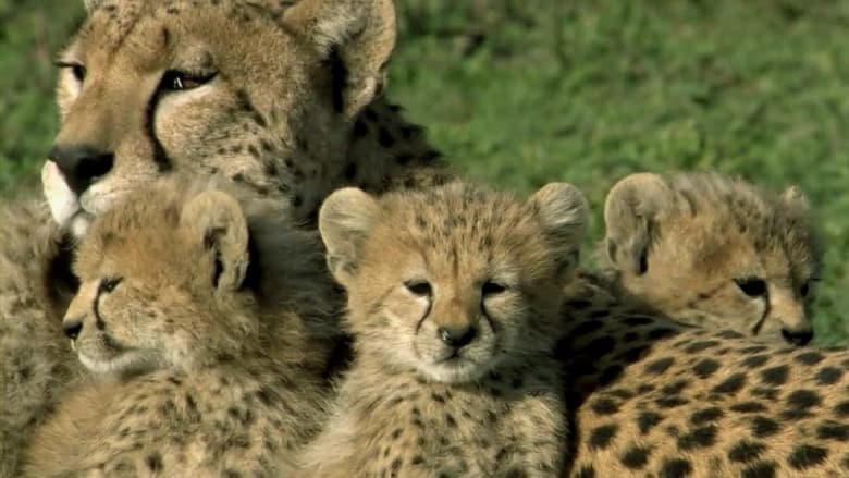 One Life電影劇照1