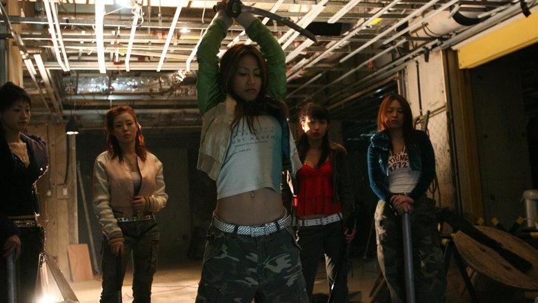 クール・ディメンション電影劇照1