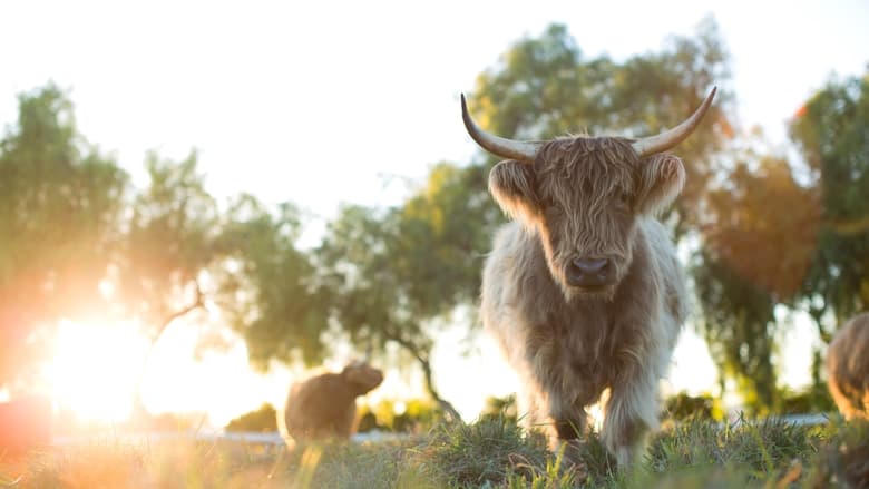 我家有個開心農場：重返伊甸園電影劇照1