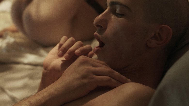 Night of Love電影劇照1