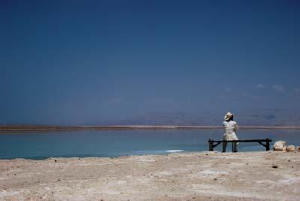 永久居留(HKLGFF 2022)電影劇照5