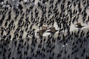 地球很美有賴你電影劇照2