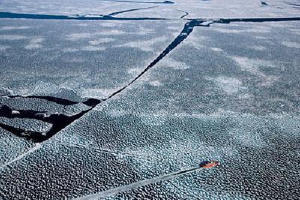 地球很美有賴你電影劇照3