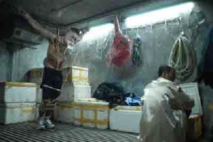 瘋狂的賽車電影劇照2