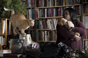 秋田犬八千電影劇照8