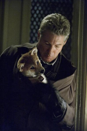 秋田犬八千電影劇照10