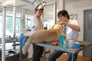 愛在黃昏電影劇照11