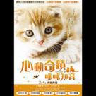 心動奇蹟：咪咪知音電影劇照5