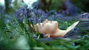 閃亮的星星電影劇照7