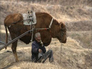 阿牛電影劇照10