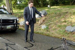 毛毛大反擊電影劇照3