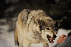 冰峰36小時電影劇照3