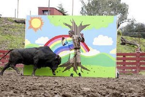 死蠢鬥一番3D電影劇照4