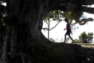 樹欲靜而心不息電影劇照11