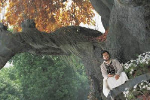 倩女幽魂電影劇照6