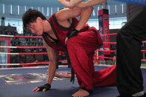 蔡李佛電影劇照7