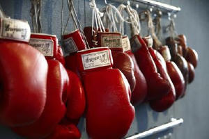 鐵拳浪子電影劇照2