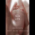 生命樹電影劇照8