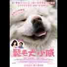 鬆毛犬小威電影劇照9