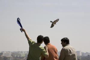 作死不離3兄弟電影劇照6