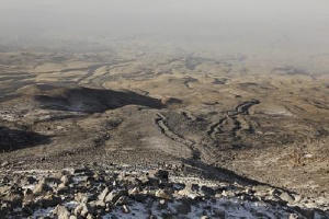 挪亞方舟驚世啟示2電影劇照3