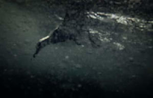 海中獸電影劇照4