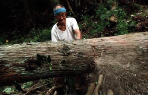 祖之根電影劇照4