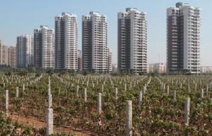 紅酒瘋電影劇照3