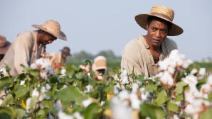 被奪走的12年電影劇照2