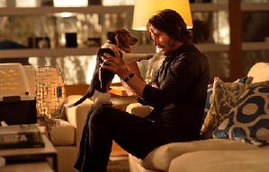 殺神John Wick電影劇照2