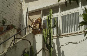 戀10,000公里的愛電影劇照3