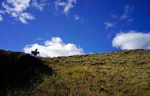 狼圖騰電影劇照3