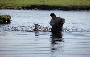 狼圖騰電影劇照12