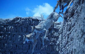 狼圖騰電影劇照6