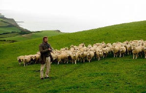 瘋戀佳人電影劇照5