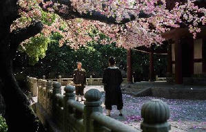 道士下山電影劇照4