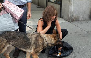 風月笑膠人電影劇照3