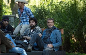 戀上英國大情人電影劇照13