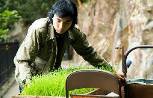 香港三部曲電影劇照9