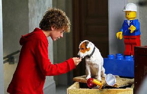 聰明狗笨豬電影劇照6