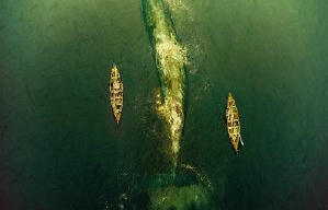 巨鯨傳說：怒海中心電影劇照16