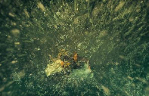 巨鯨傳說：怒海中心電影劇照11