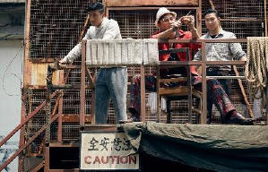 葉問3電影劇照7