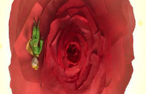 小王子電影劇照8