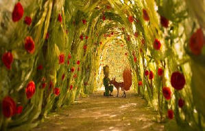 小王子電影劇照13