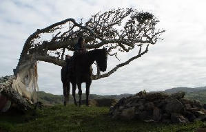 臥虎藏龍：青冥寶劍電影劇照13