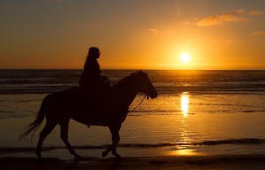 臥虎藏龍：青冥寶劍電影劇照15