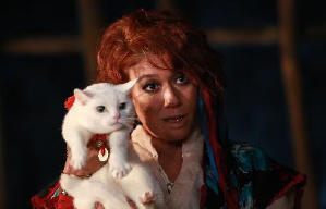 貓侍：萌主現身電影劇照6