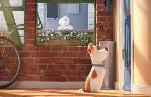 PetPet當家電影劇照6